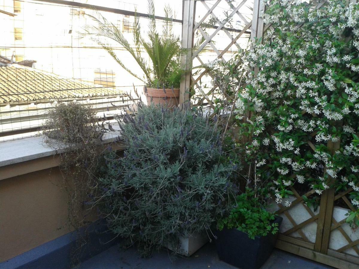 Chiara Appartamento Roma